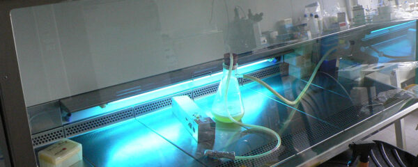flux laminaire